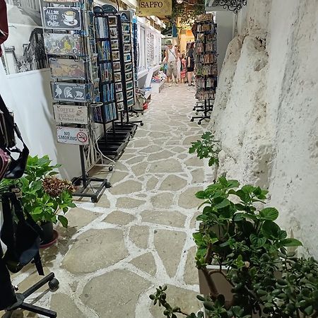 Politis' Wooden House Apartment Vasiliki  Bagian luar foto