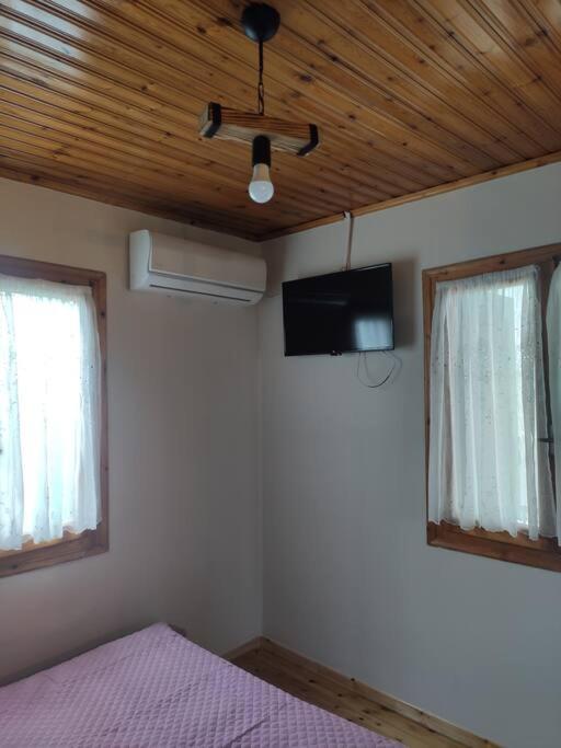 Politis' Wooden House Apartment Vasiliki  Bagian luar foto