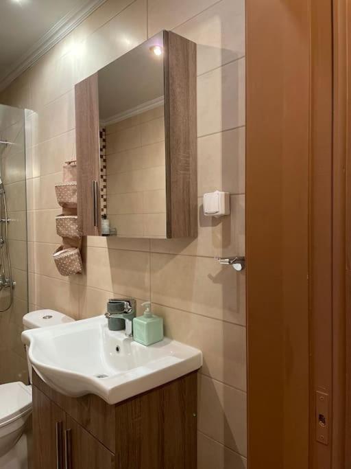 Politis' Wooden House Apartment Vasiliki  Bagian luar foto