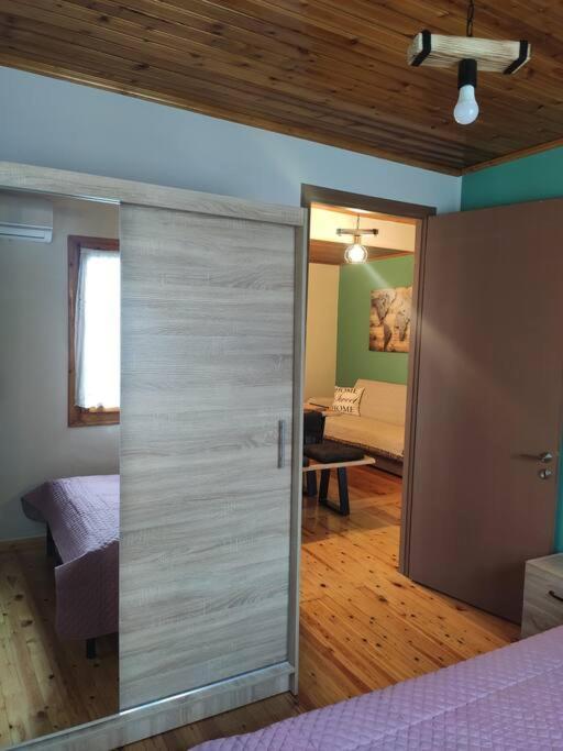 Politis' Wooden House Apartment Vasiliki  Bagian luar foto