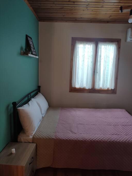 Politis' Wooden House Apartment Vasiliki  Bagian luar foto